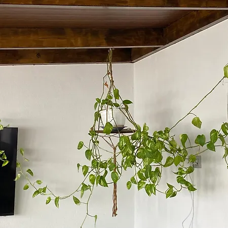 Casa Gynb Ferienhaus Arrecife (Lanzarote)